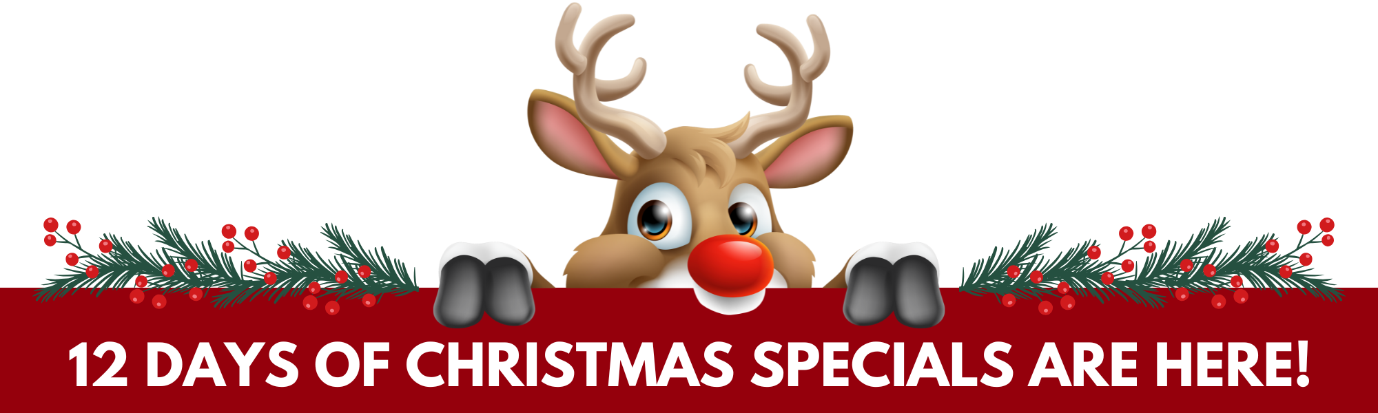 12 Days of Christmas Specials are here! (1)