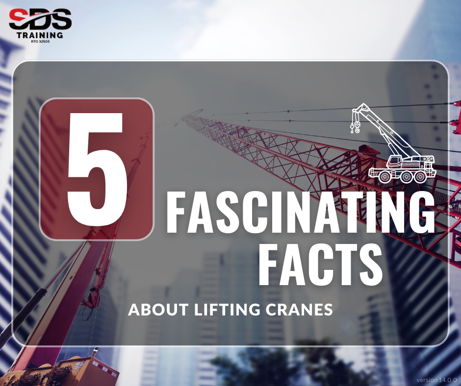 5 Facts about Cranes