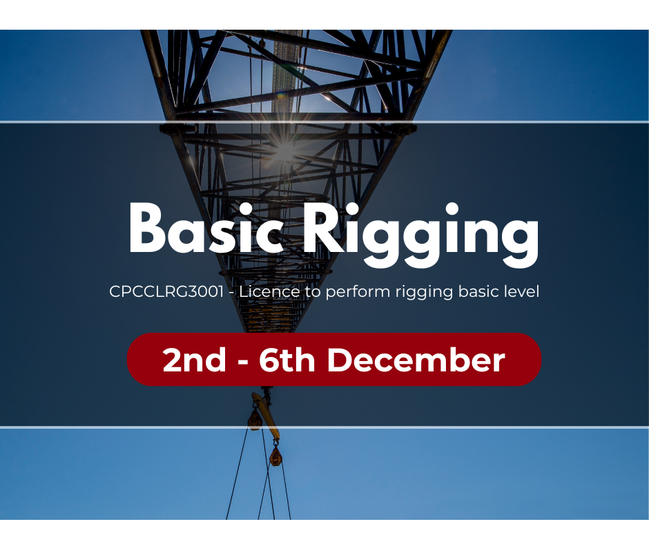Basic Rigging