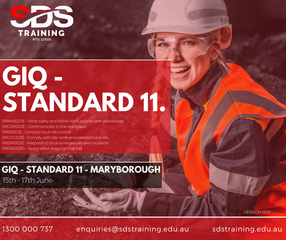 GIQ - STANDARD 11-1