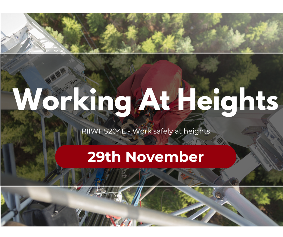 Working At Heights (3)
