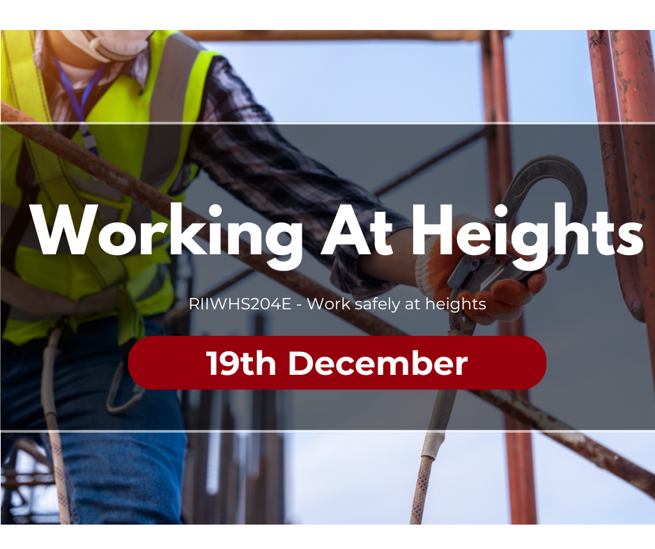Working At Heights (4)
